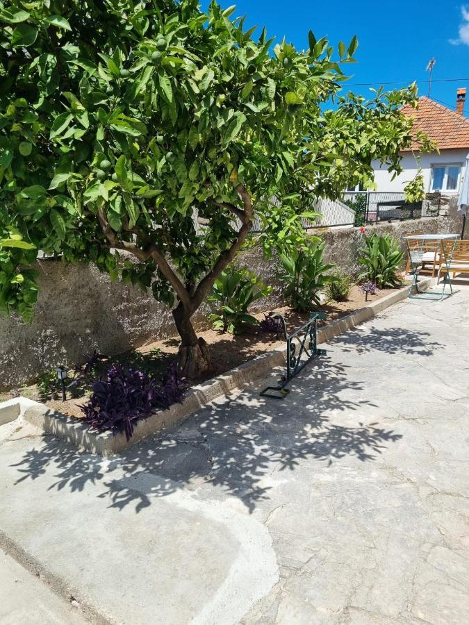 Apartmani Barbarosa Sveti Filip i Jakov Ngoại thất bức ảnh